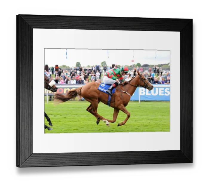 Framed Print : Common Touch Ridden By Frederik Tylicki Wins