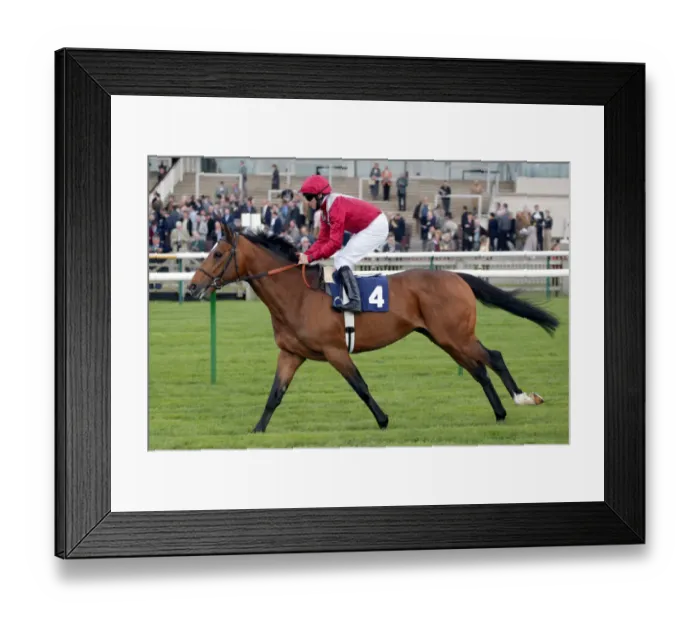 Framed Print : Ecomium Ridden By E.Ahern Newmarket Craven Meeting Newmarket Racecourse Framed Print : Ecomium Ridden By E.Ahern Newmarket Craven Meeting Newmarket Racecourse