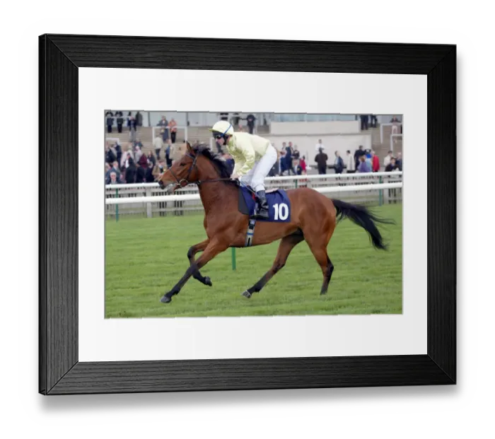 Framed Print : Trifti Ridden By S.Sanders Newmarket Craven Meeting Newmarket Racecourse Framed Print : Trifti Ridden By S.Sanders Newmarket Craven Meeting Newmarket Racecourse
