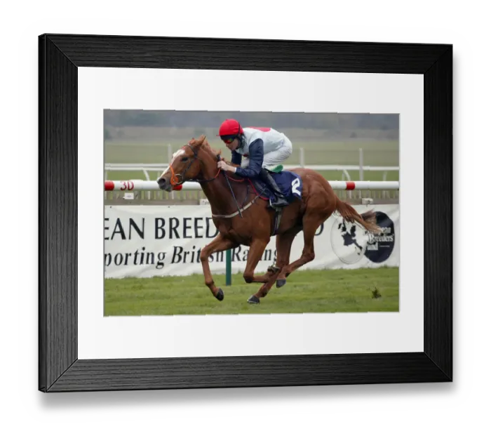 Framed Print : Cornus Ridden By R.Hughes Newmarket Craven Meeting Newmarket Racecourse Framed Print : Cornus Ridden By R.Hughes Newmarket Craven Meeting Newmarket Racecourse