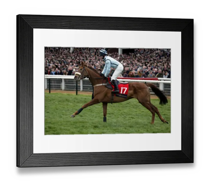 Framed Print : Moss Harvey Framed Print : Moss Harvey