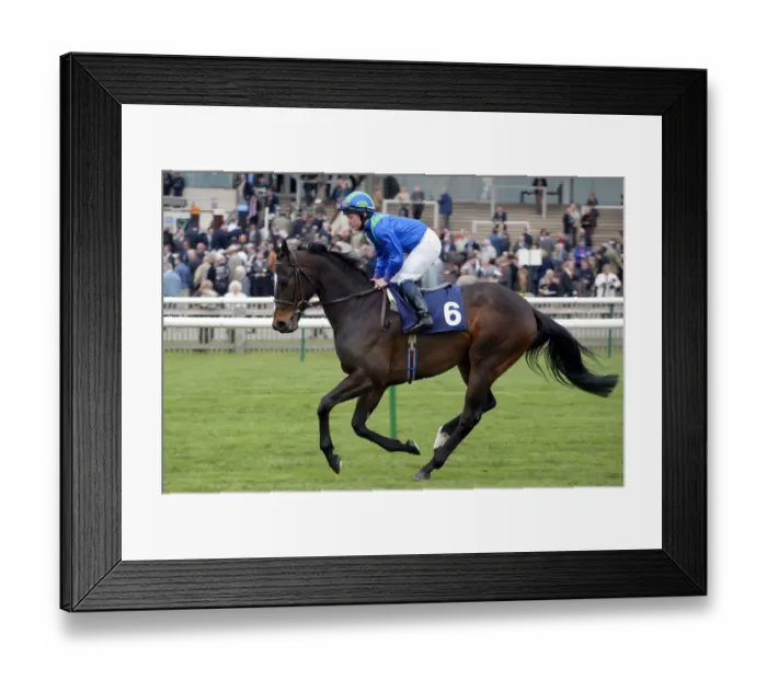 Framed Print : Master Robbie Framed Print : Master Robbie