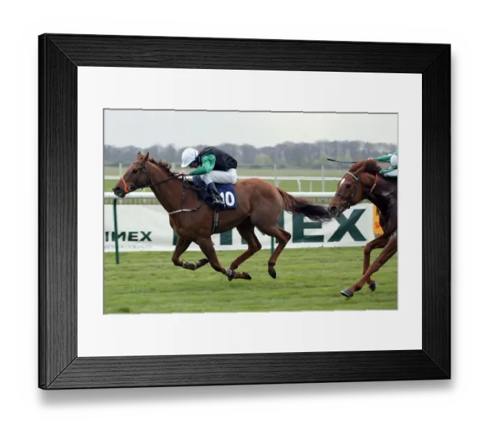 Framed Print : Thihn Ridden By A.Daly Newmarket Craven Meeting Newmarket Racecourse Framed Print : Thihn Ridden By A.Daly Newmarket Craven Meeting Newmarket Racecourse