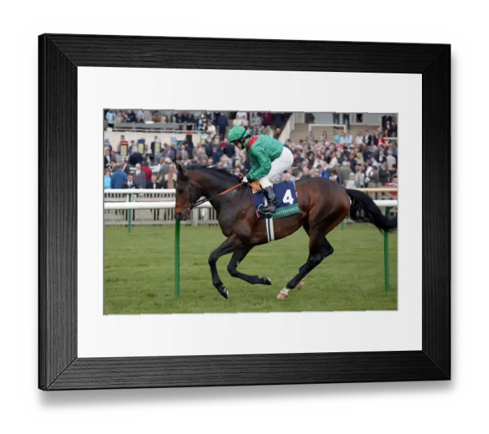 Framed Print : Kalaman Ridden By K.Fallon Newmarket Craven Meeting 2004 Newmarket Racecourse Framed Print : Kalaman Ridden By K.Fallon Newmarket Craven Meeting 2004 Newmarket Racecourse