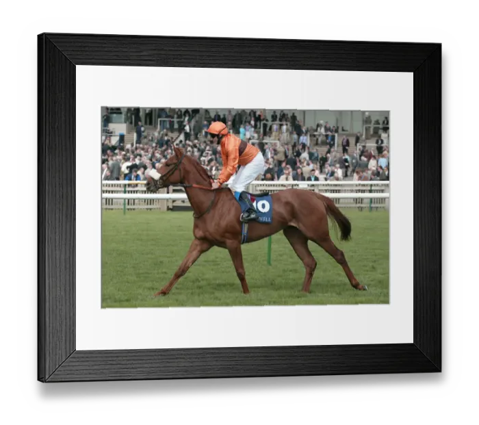 Framed Print : St Francis Wood Framed Print : St Francis Wood