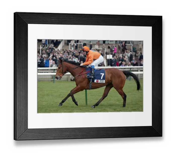 Framed Print : The Kiddykidd Framed Print : The Kiddykidd