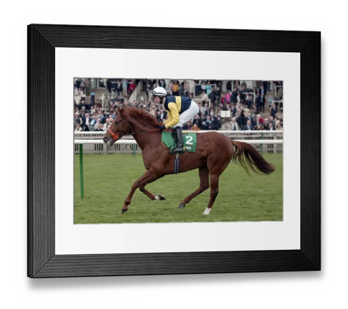 Framed Print : Fantastic View Framed Print : Fantastic View