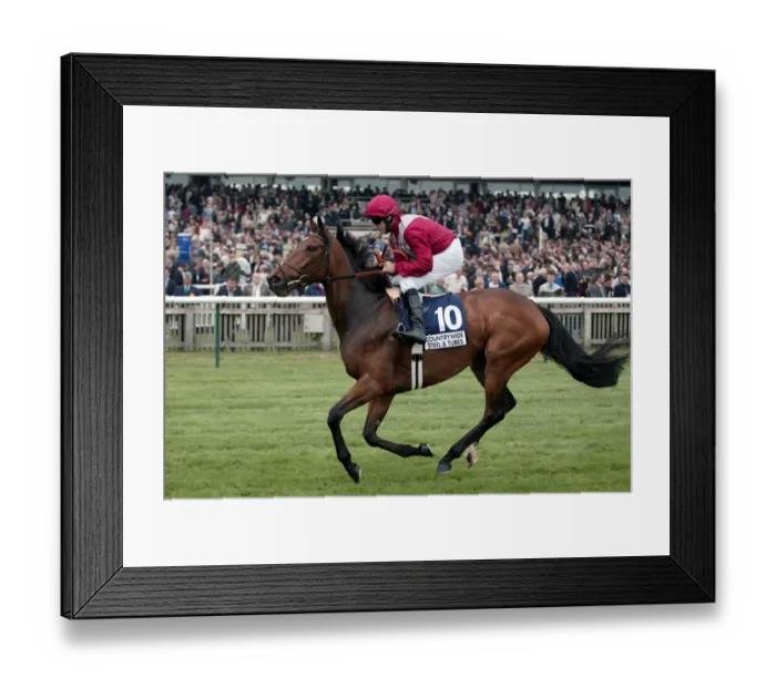 Framed Print : Almaviva Ridden By E.Ahern Newmarket Guineas Festival 04 Newmarket Racecourse Framed Print : Almaviva Ridden By E.Ahern Newmarket Guineas Festival 04 Newmarket Racecourse