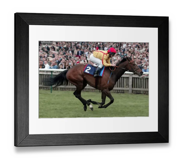 Framed Print : Beneventa Ridden By S.Sanders Newmarket Guineas Festival 04 Newmarket Racecourse Framed Print : Beneventa Ridden By S.Sanders Newmarket Guineas Festival 04 Newmarket Racecourse