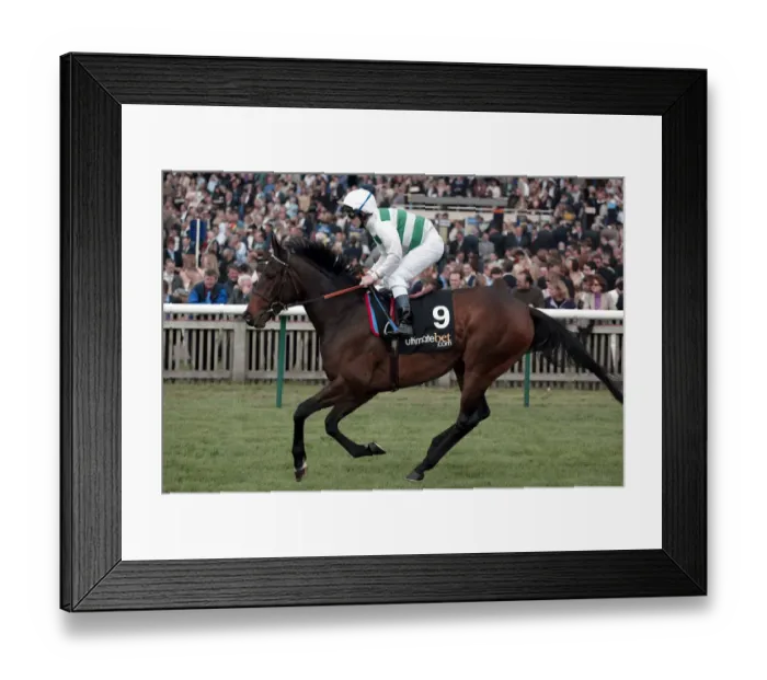 Framed Print : Nataliya Ridden By S.Sanders Newmarket Guineas Festival 04 Newmarket Racecourse Framed Print : Nataliya Ridden By S.Sanders Newmarket Guineas Festival 04 Newmarket Racecourse