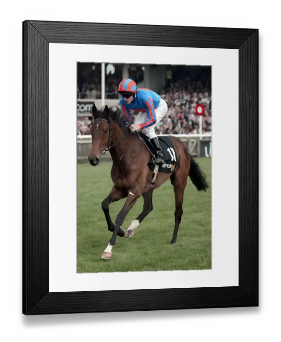 Framed Print : Necklace Ridden By J.Murtagh Newmarket Guineas Festival 04 Newmarket Racecourse Framed Print : Necklace Ridden By J.Murtagh Newmarket Guineas Festival 04 Newmarket Racecourse