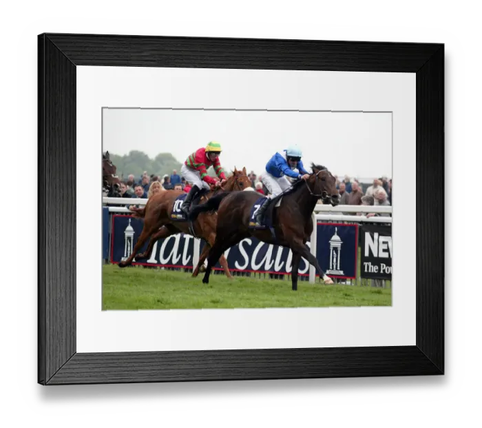 Framed Print : State Dilemma Framed Print : State Dilemma