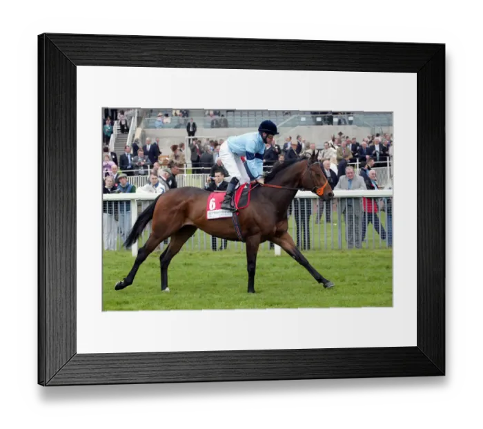 Framed Print : Bonus Ridden By R.Hannon York May Meeting 2004 York Racecousre Framed Print : Bonus Ridden By R.Hannon York May Meeting 2004 York Racecousre