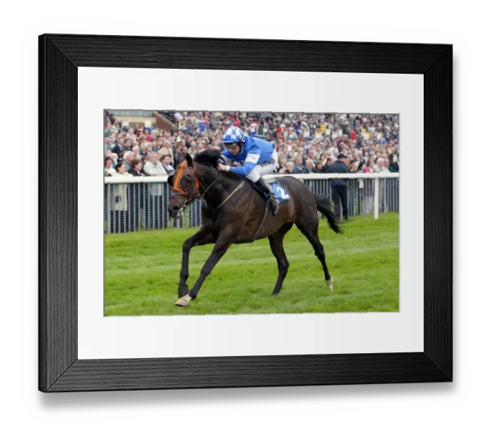 Framed Print : Quito Ridden By A.Culhane York May Meeting 2004 York Racecourse Framed Print : Quito Ridden By A.Culhane York May Meeting 2004 York Racecourse