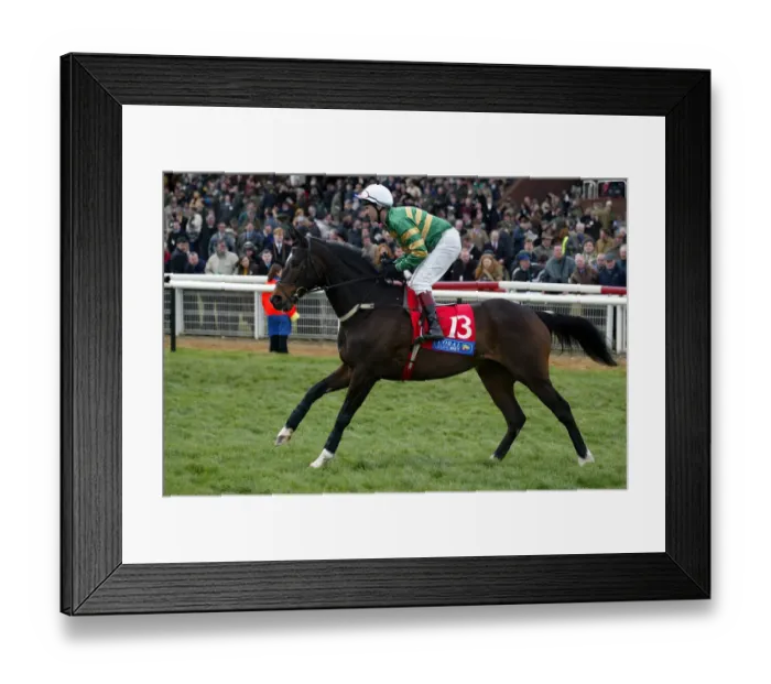 Framed Print : Darapour Ridden By C.F.Swan Cheltenham Festival 2002 Cheltenham Racecourse Framed Print : Darapour Ridden By C.F.Swan Cheltenham Festival 2002 Cheltenham Racecourse