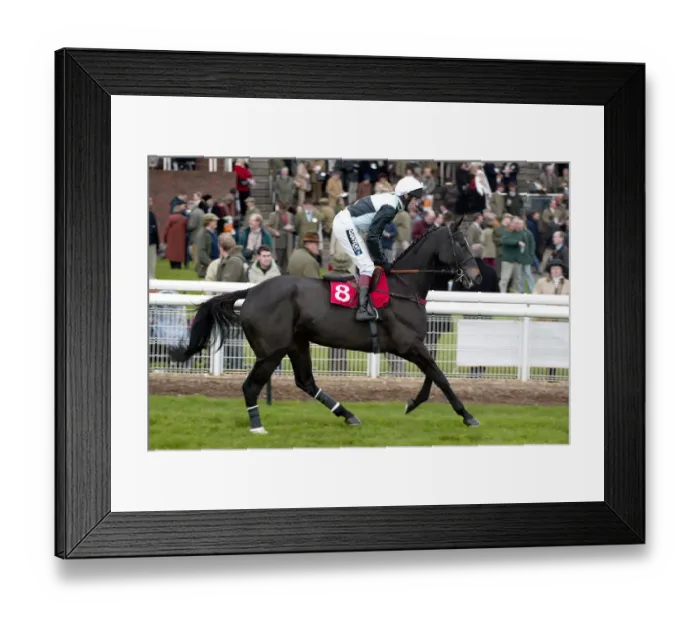 Framed Print : Mister Flint