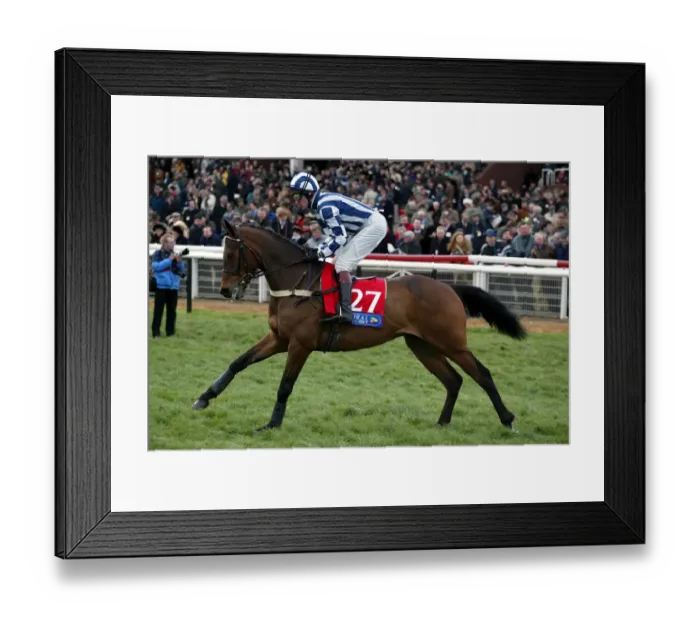 Framed Print : Yanns Ridden By W.Marston Cheltenham Festival 2002 Cheltenham Racecourse Framed Print : Yanns Ridden By W.Marston Cheltenham Festival 2002 Cheltenham Racecourse