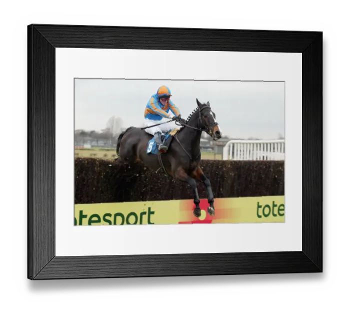 Framed Print : The Nomad Ridden By T.Greenall Wetherby Races Wetherby Racecoarse Framed Print : The Nomad Ridden By T.Greenall Wetherby Races Wetherby Racecoarse