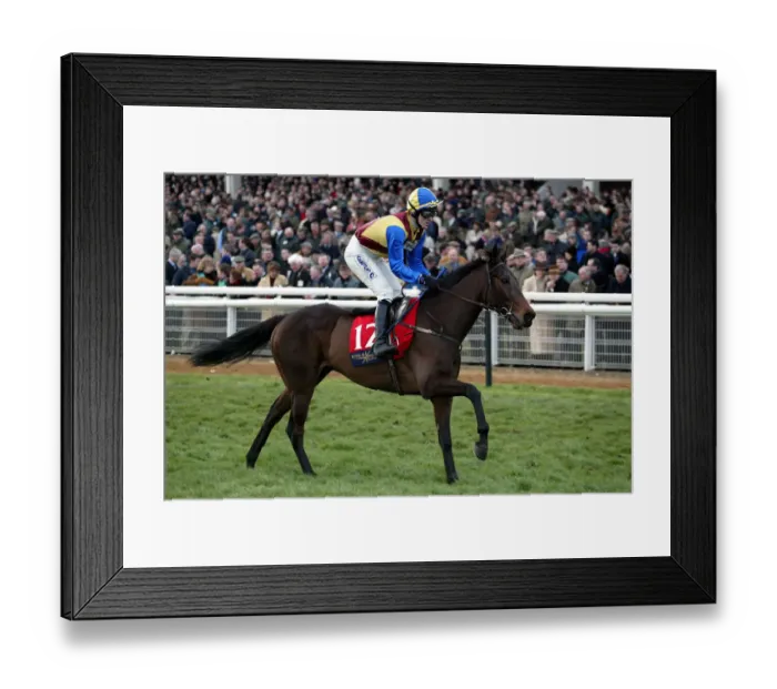 Framed Print : Iznogoud Ridden By A.P.Mccoy Cheltenham Festival 2002 Cheltenham Racecourse Framed Print : Iznogoud Ridden By A.P.Mccoy Cheltenham Festival 2002 Cheltenham Racecourse