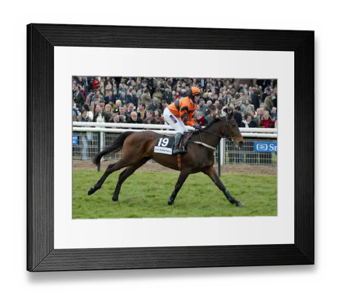 Framed Print : Mariah Rollins