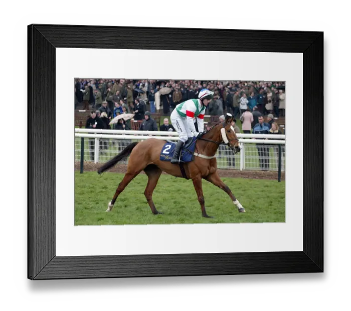 Framed Print : Brave Spirit Framed Print : Brave Spirit