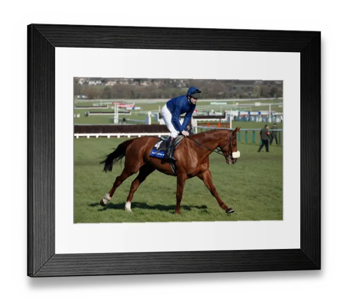 Framed Print : Native Upmanship Framed Print : Native Upmanship