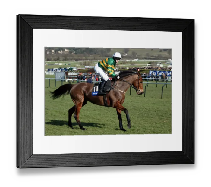 Framed Print : Risk Accessor Framed Print : Risk Accessor
