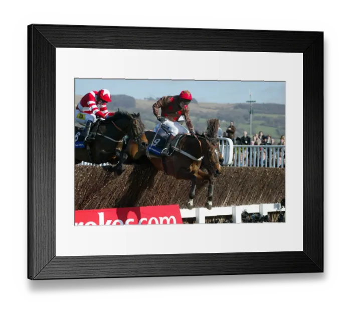 Framed Print : Thisthatandtother & Fondmort Framed Print : Thisthatandtother & Fondmort
