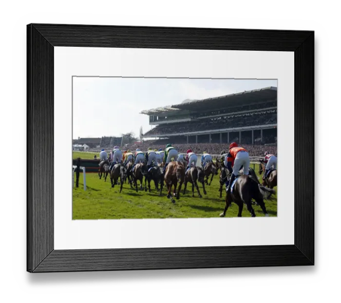 Framed Print : Main Stand Cheltenham Racecorse Framed Print : Main Stand Cheltenham Racecorse
