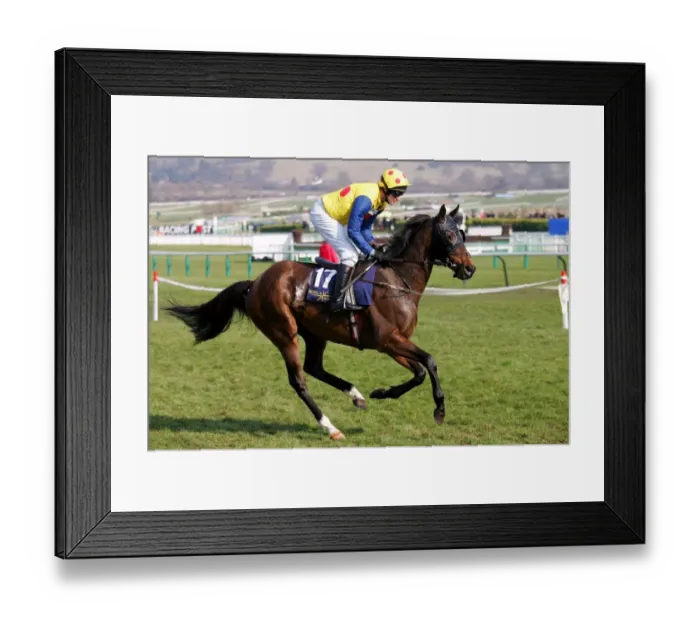Framed Print : Investment Wings