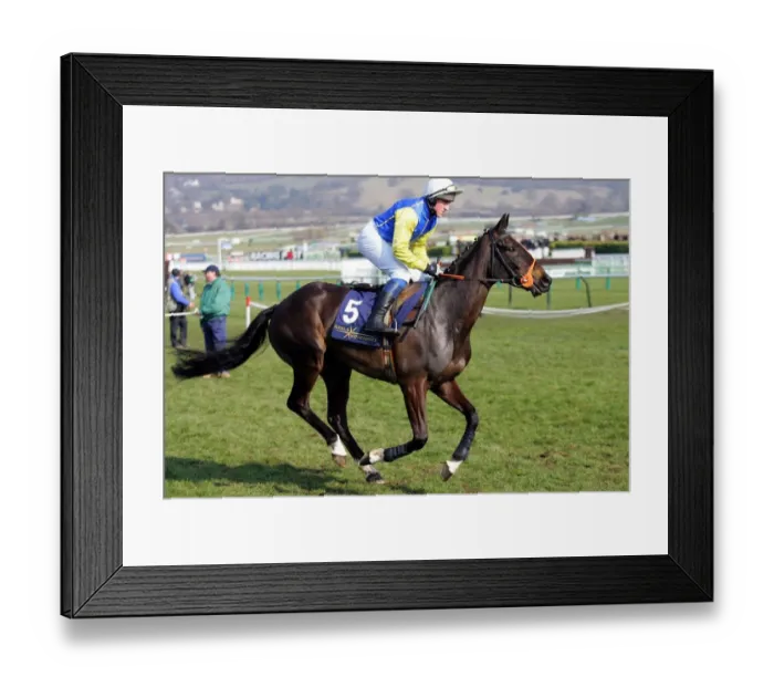 Framed Print : Letterman Ridden By P.W. Flood Cheltenham Festival 2006 Cheltenham Racecourse Framed Print : Letterman Ridden By P.W. Flood Cheltenham Festival 2006 Cheltenham Racecourse