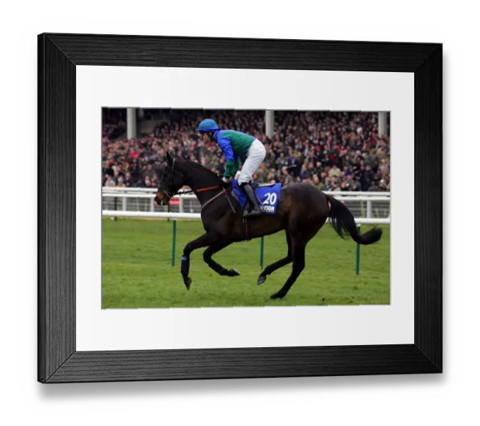 Framed Print : No Full Ridden By T.Doyle Cheltenham Festival 2006 Cheltenham Racecourse