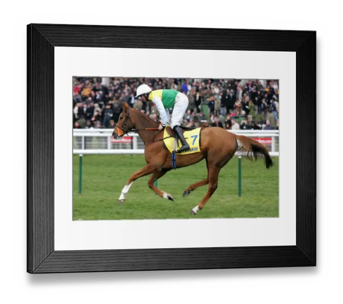 Framed Print : Armaturk Ridden By Christian Williams Cheltenham Festival 2006 Cheltenham Racecourse Framed Print : Armaturk Ridden By Christian Williams Cheltenham Festival 2006 Cheltenham Racecourse