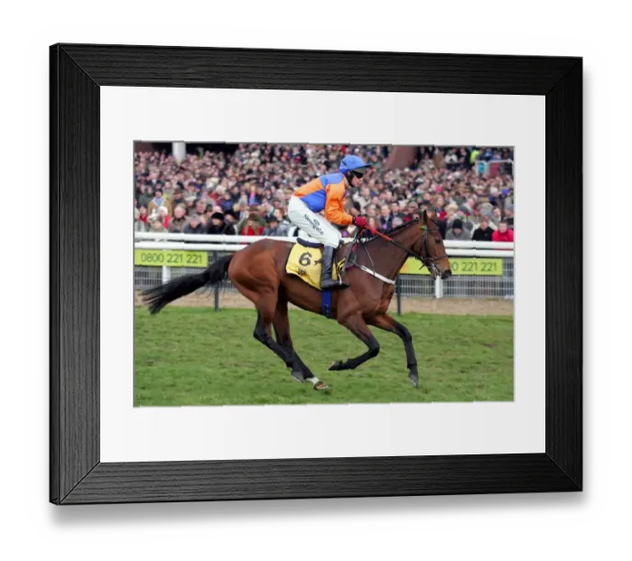 Framed Print : First Row Ridden By P.Carberry Cheltenham Festival 2006 Cheltenham Racecourse Framed Print : First Row Ridden By P.Carberry Cheltenham Festival 2006 Cheltenham Racecourse