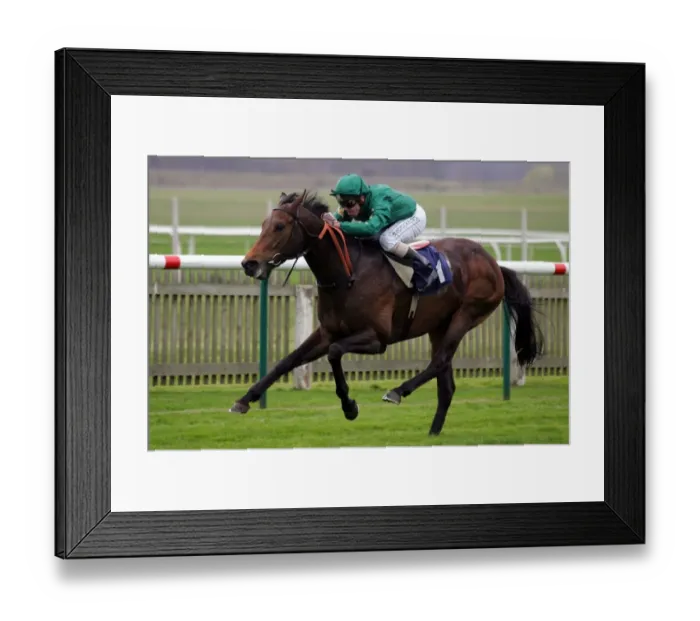 Framed Print : Aeroplane Ridden By A.Munro Craven Meeting, Newmarket Rowley Mile Course Framed Print : Aeroplane Ridden By A.Munro Craven Meeting, Newmarket Rowley Mile Course