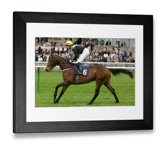 Framed Print : Lord Charles Framed Print : Lord Charles