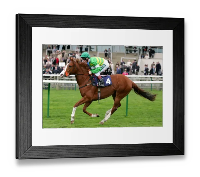 Framed Print : Love In May Framed Print : Love In May