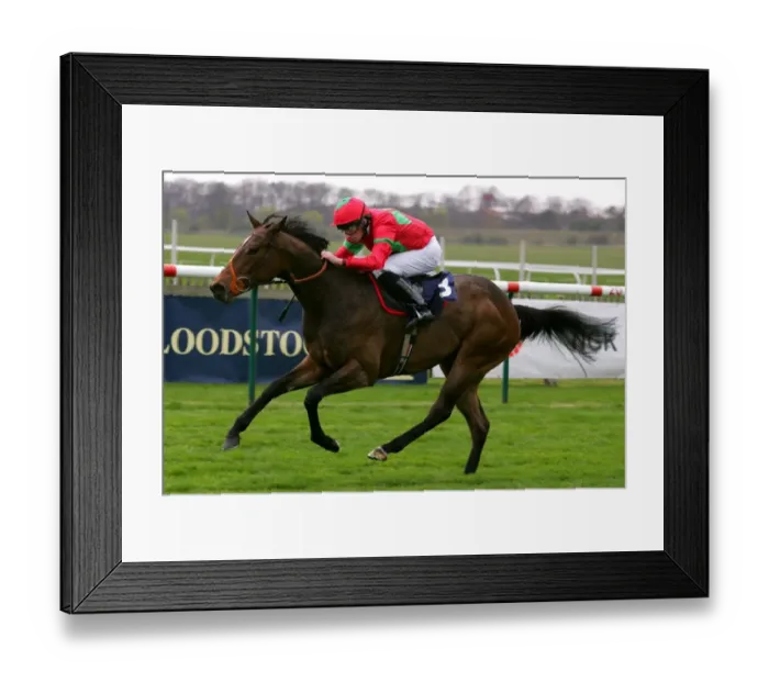 Framed Print : Gilded Ridden By R.L.Moore Craven Meeting, Newmarket Rowley Mile Course Framed Print : Gilded Ridden By R.L.Moore Craven Meeting, Newmarket Rowley Mile Course