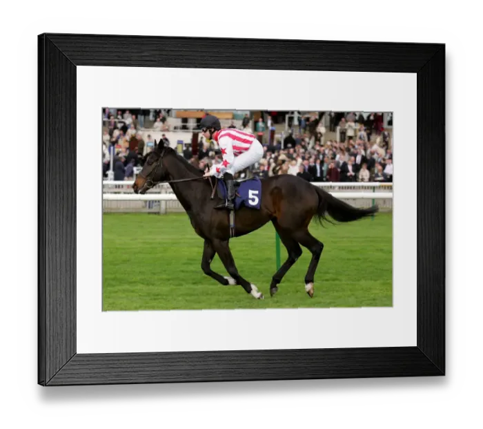 Framed Print : Obe Brave Ridden By A.Culhane Craven Meeting, Newmarket Rowley Mile Course Framed Print : Obe Brave Ridden By A.Culhane Craven Meeting, Newmarket Rowley Mile Course