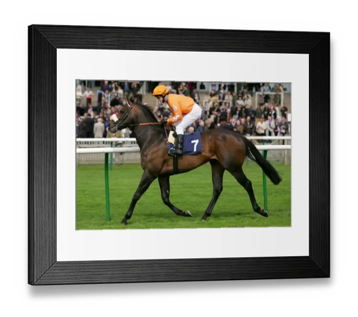 Framed Print : Red Cape Ridden By K.Fallon Craven Meeting, Newmarket Rowley Mile Course Framed Print : Red Cape Ridden By K.Fallon Craven Meeting, Newmarket Rowley Mile Course