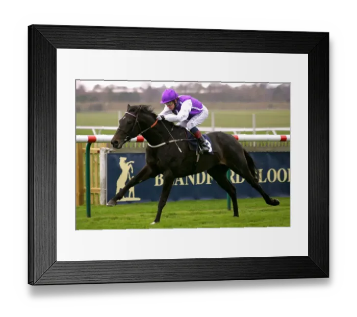 Framed Print : Levera Ridden By J.D.Smith Craven Meeting, Newmarket Rowley Mile Course Framed Print : Levera Ridden By J.D.Smith Craven Meeting, Newmarket Rowley Mile Course