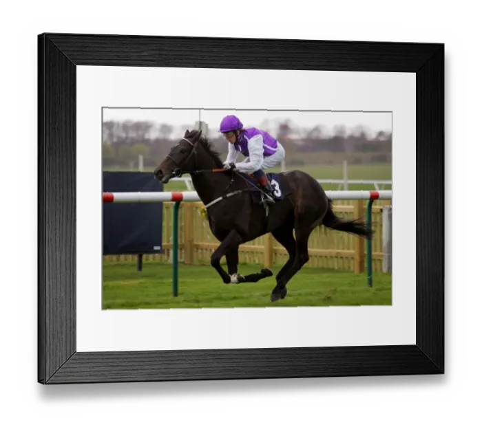 Framed Print : Levera Ridden By J.D.Smith Craven Meeting, Newmarket Rowley Mile Course Framed Print : Levera Ridden By J.D.Smith Craven Meeting, Newmarket Rowley Mile Course