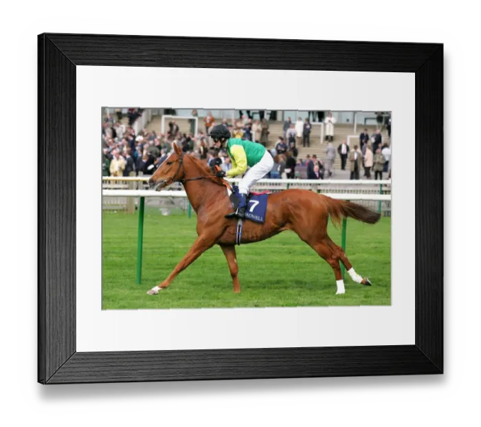 Framed Print : Spinning Queen Framed Print : Spinning Queen
