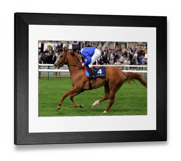 Framed Print : Mostaqeleh Framed Print : Mostaqeleh
