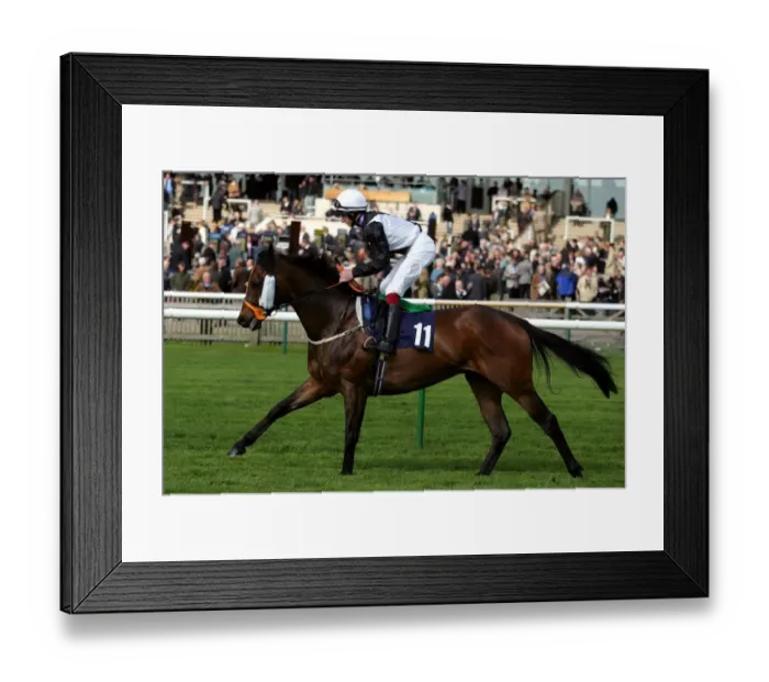 Framed Print : Out After Dark