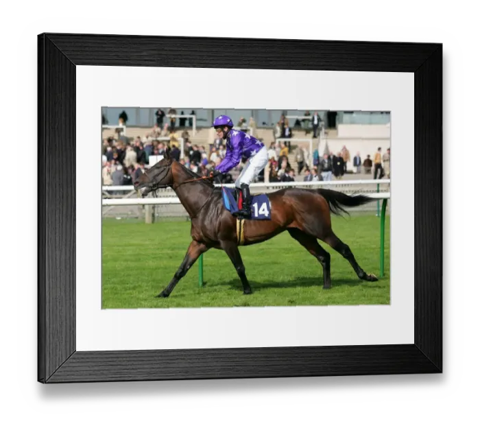 Framed Print : Royal Storm Framed Print : Royal Storm