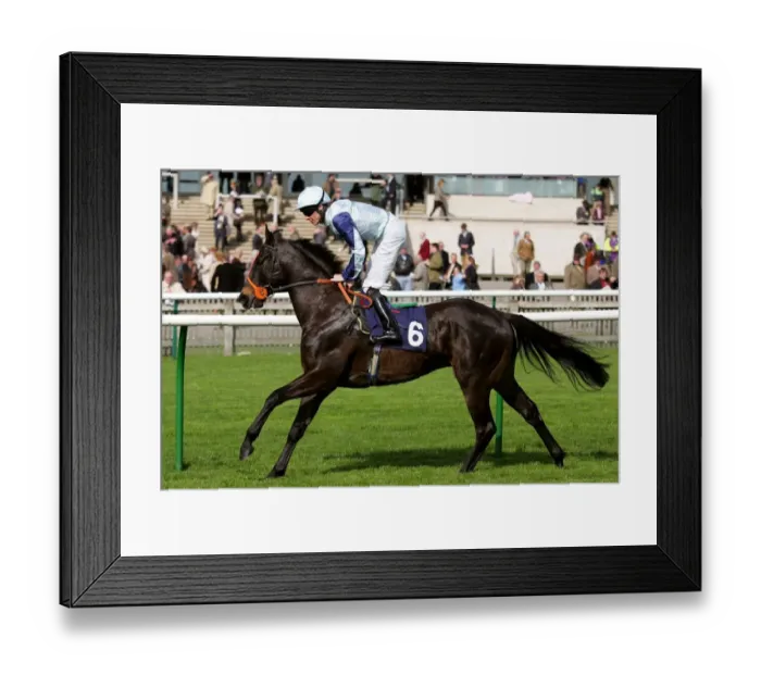 Framed Print : Presto Shinko Framed Print : Presto Shinko