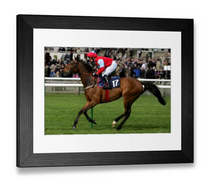 Framed Print : Paradise Isle Framed Print : Paradise Isle