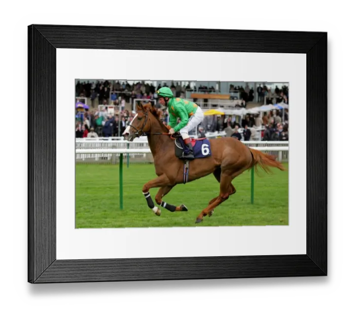 Framed Print : Startengo Ridden By J.F.Egan Craven Meeting, Newmarket Rowley Mile Course Framed Print : Startengo Ridden By J.F.Egan Craven Meeting, Newmarket Rowley Mile Course