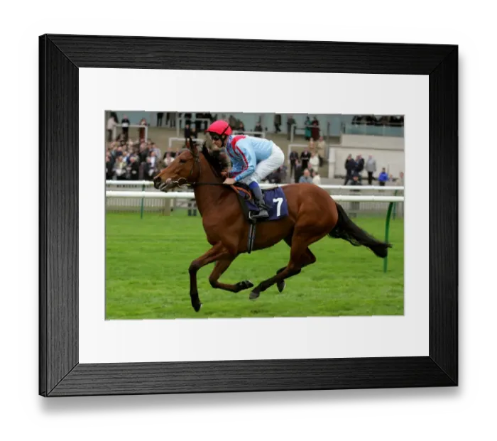 Framed Print : Frisky Talk Framed Print : Frisky Talk